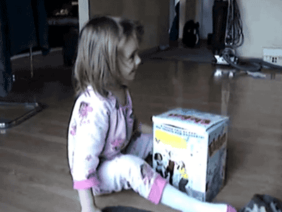 cat in the box attacks girls face funny