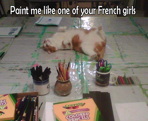 cat titanic quote paint me like of of your french girls