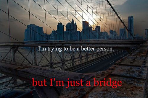 I want to be a better person but I am just a bridge tumblr meme